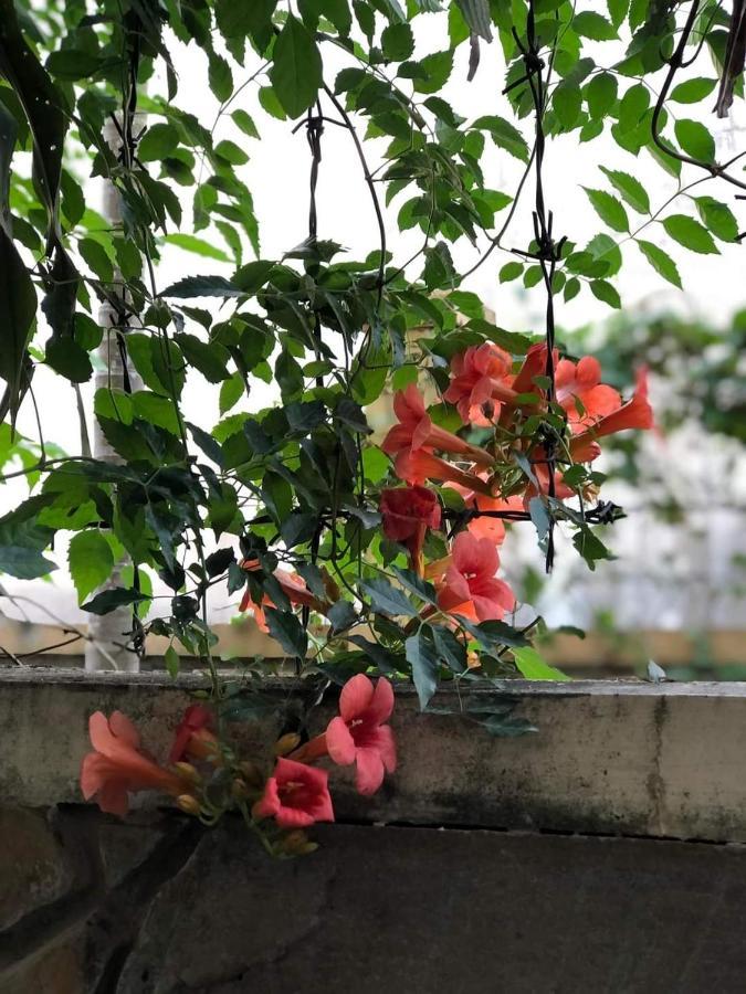 Hidden Hue Homestay 외부 사진