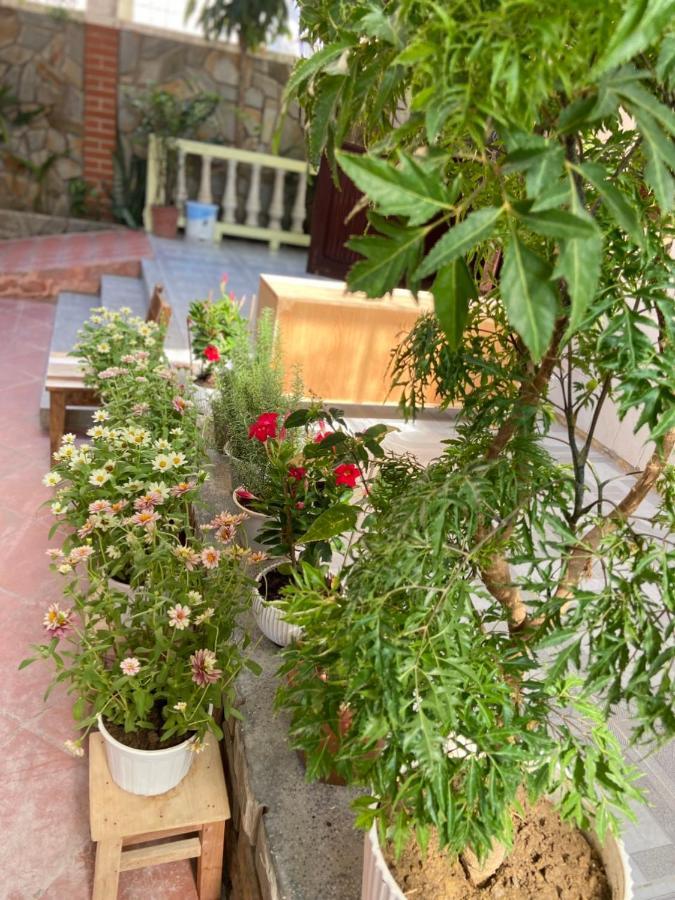 Hidden Hue Homestay 외부 사진