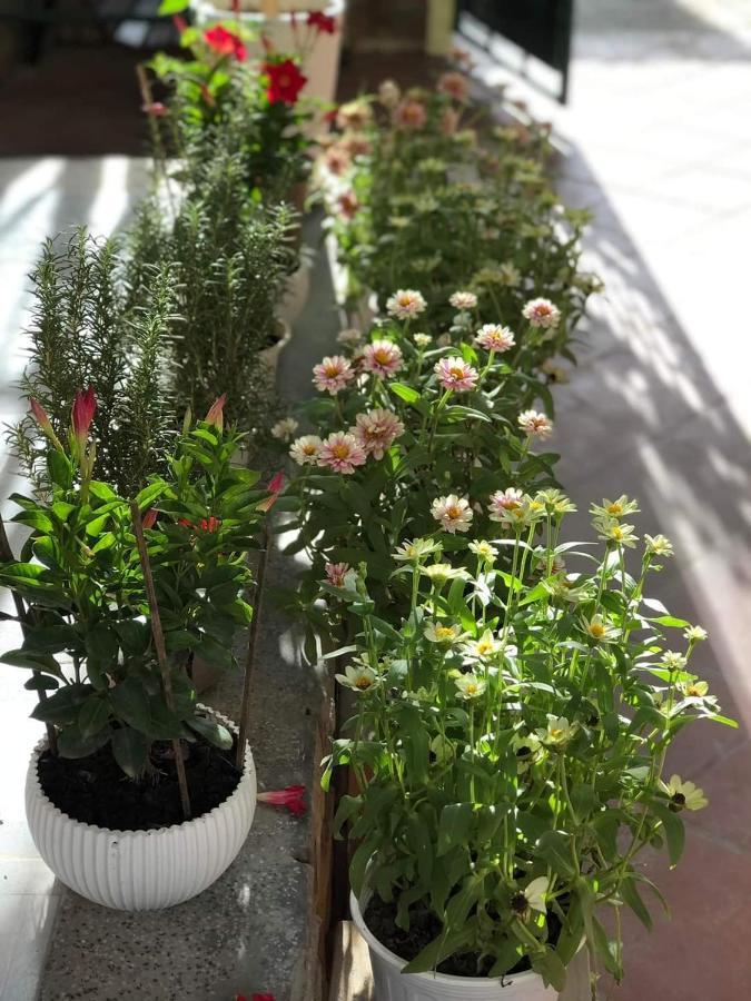 Hidden Hue Homestay 외부 사진