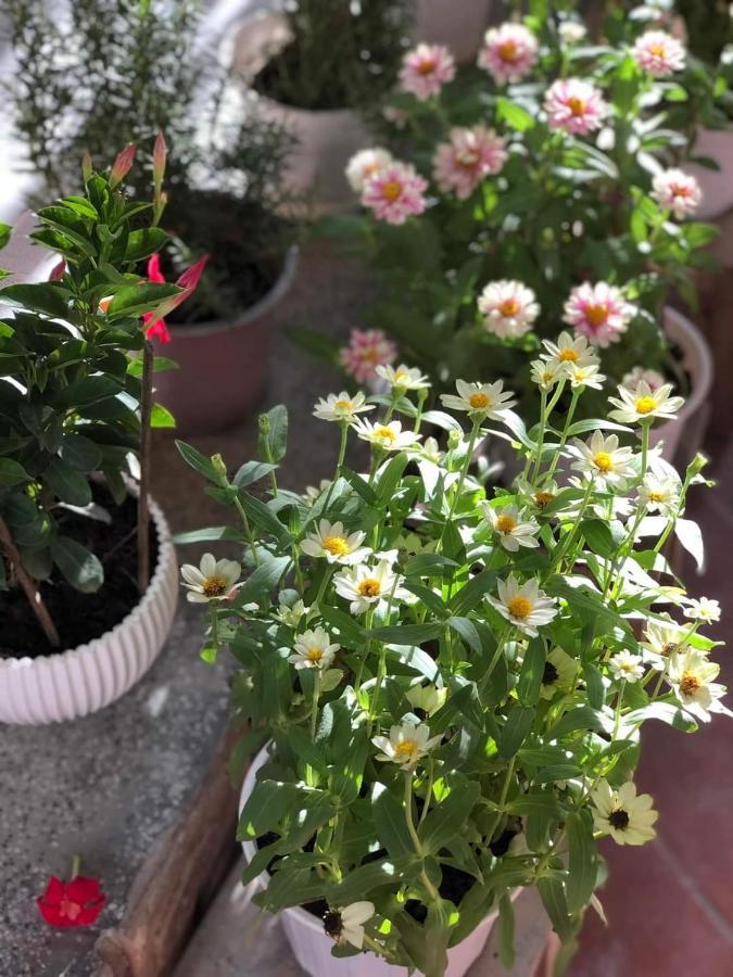 Hidden Hue Homestay 외부 사진