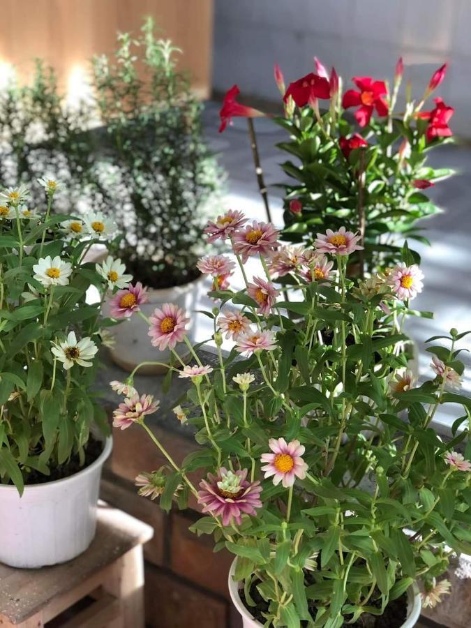 Hidden Hue Homestay 외부 사진