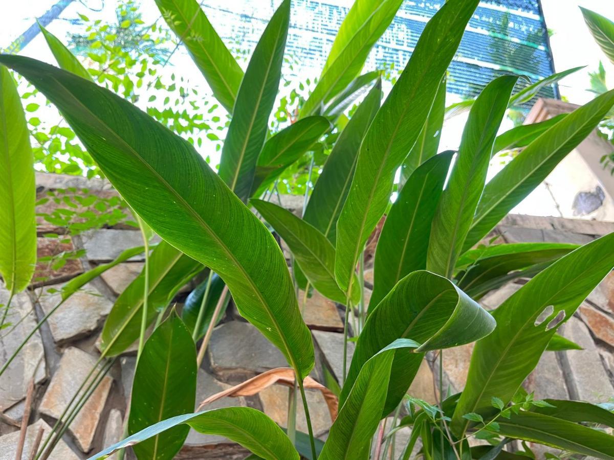 Hidden Hue Homestay 외부 사진